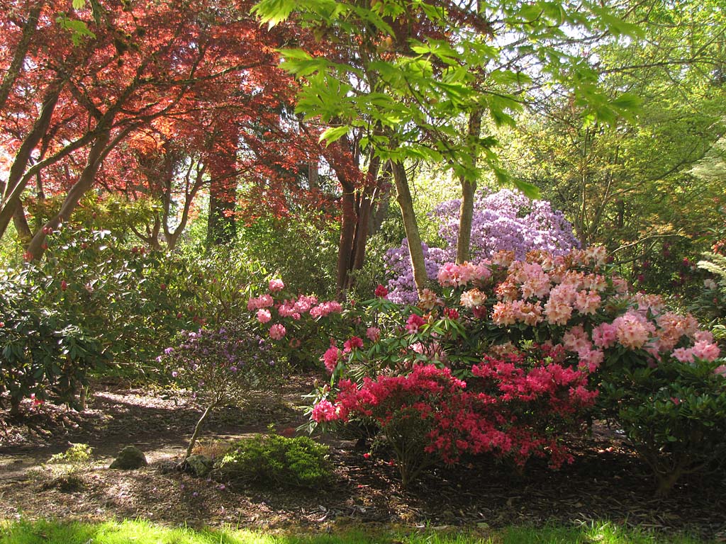 USA and Canada 2013/Greer Gardens 130426/IMG_8461_Greer_Nurseries